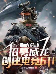 《三角洲:招募威龙,创电竞GTI》小说封面