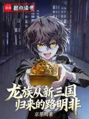 《龙族：从新三国归来的路明非》小说封面