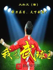 《我是武球王》小说封面