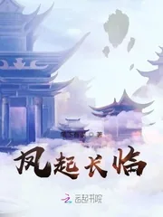 《凤起长临》小说封面
