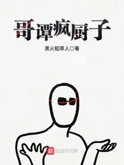 《哥谭疯厨子》小说封面