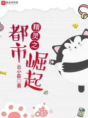 《精灵之都市崛起》小说封面
